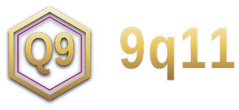 9q11 logo